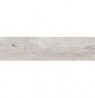 ESSENZE GELSOMINO 30X120 RETT.
