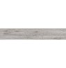 ANTIQUA GRIGIO 20X120 RETT.