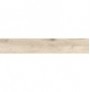 ANTIQUA MIELE 20X120 RETT.