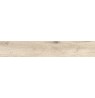 ANTIQUA MIELE 20X120 RETT.
