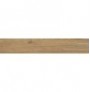 ANTIQUA ROVERE 20X120 RETT.