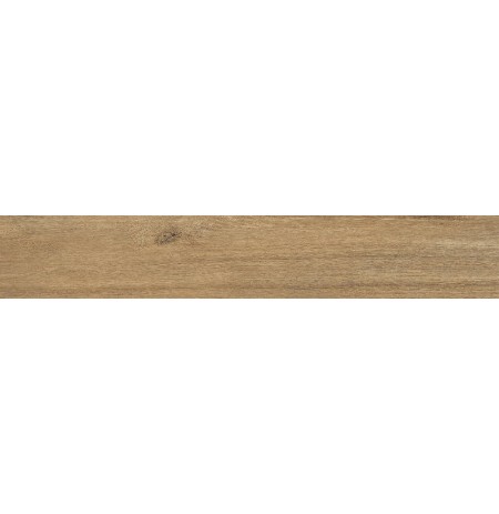 ANTIQUA ROVERE 20X120 RETT.