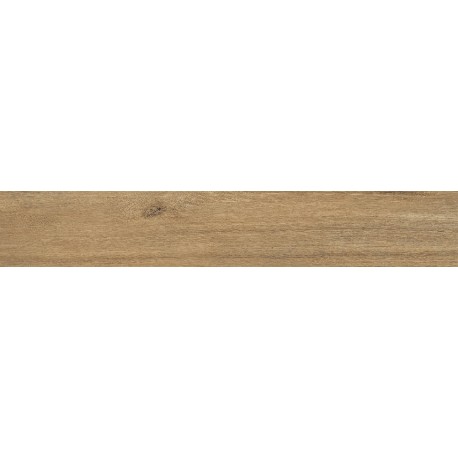ANTIQUA ROVERE 20X120 RETT.