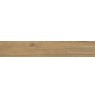 ANTIQUA ROVERE 20X120 RETT.