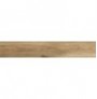 ANTIQUA ROVERE 20X120 SABB.