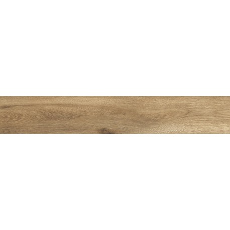 ANTIQUA ROVERE 20X120 SABB.