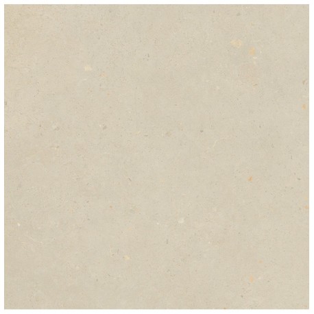 BRERA BLOOM 60X60 - 20 mm RETT R11