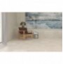 HERITAGE NUDE 30X60 RETT.
