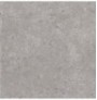 HERITAGE POWDER 60X60 RETT.