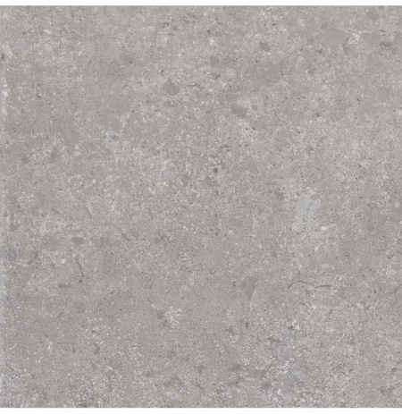 HERITAGE POWDER 60X60 RETT.