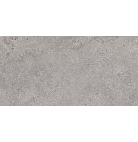 HERITAGE POWDER 60X120 RETT.