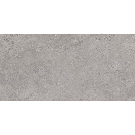 HERITAGE POWDER 60X120 RETT.