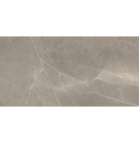 PIETRAGREY TAUPE 60X120 LAPP.