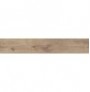 ESSENZE VANIGLIA 20X120 RETT.
