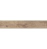 ESSENZE VANIGLIA 20X120 RETT.
