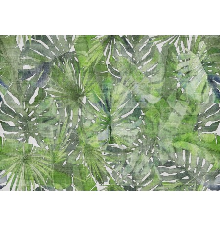 FITZACARRALDO GREEN - H2O