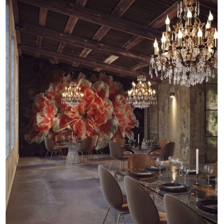 EMOTION SMOOTH - NATURAL